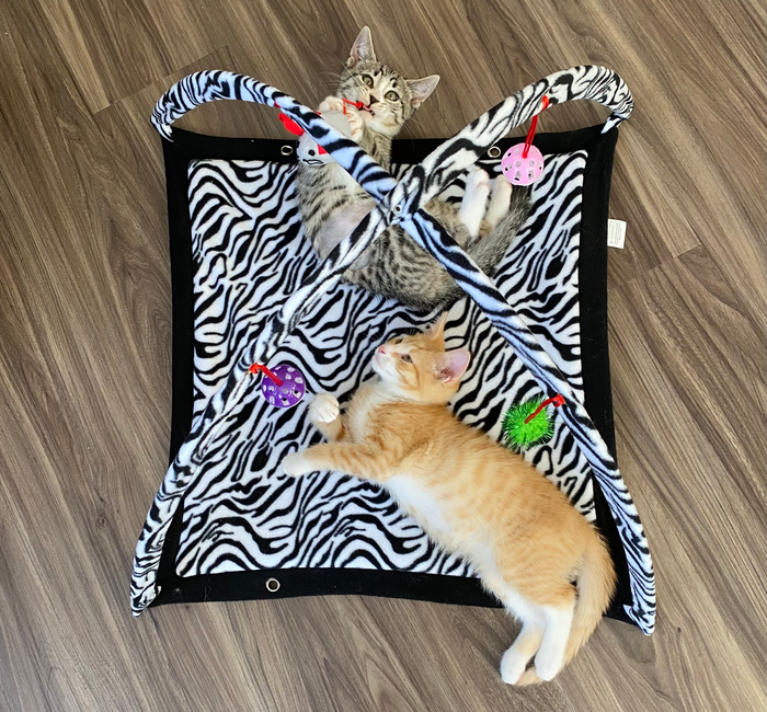 Two playful kittens enjoying themselves on a zebra-striped mat, surrounded by dangling toys