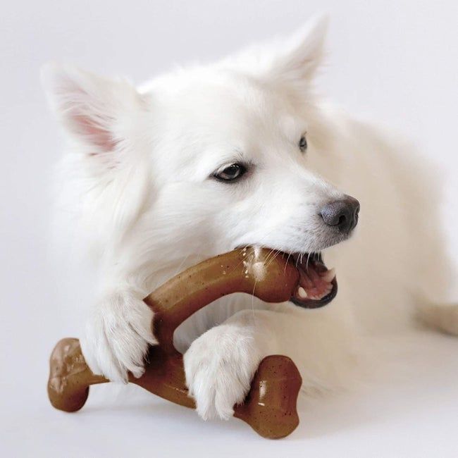 A white dog gnawing on a Y-shaped chew toy