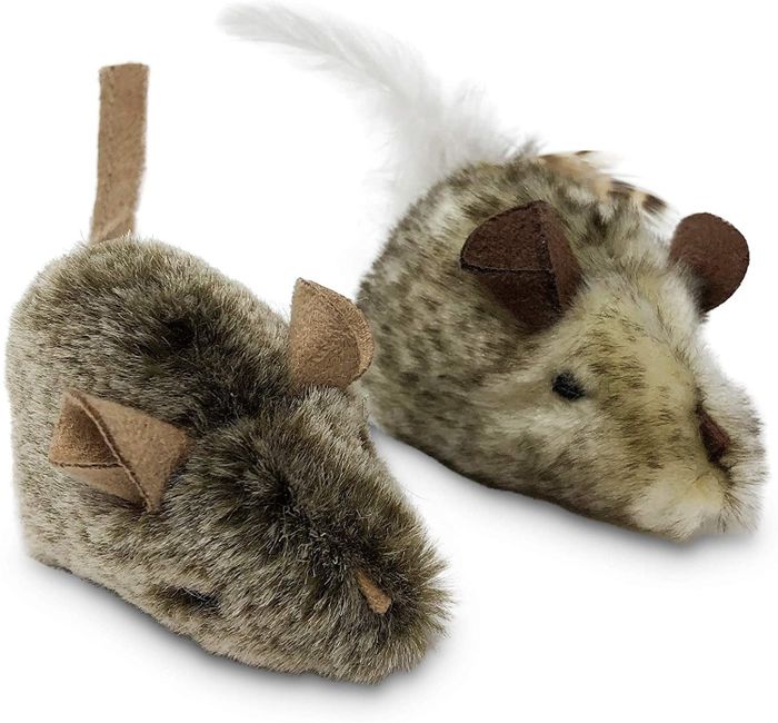 the two squeaky mice
