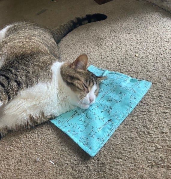 A cat comfortably lying on a blue mat, soaking in the relaxation.