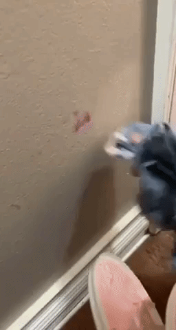 A reviewer demonstrates the removal of lipstick from the walls using the pink paste.