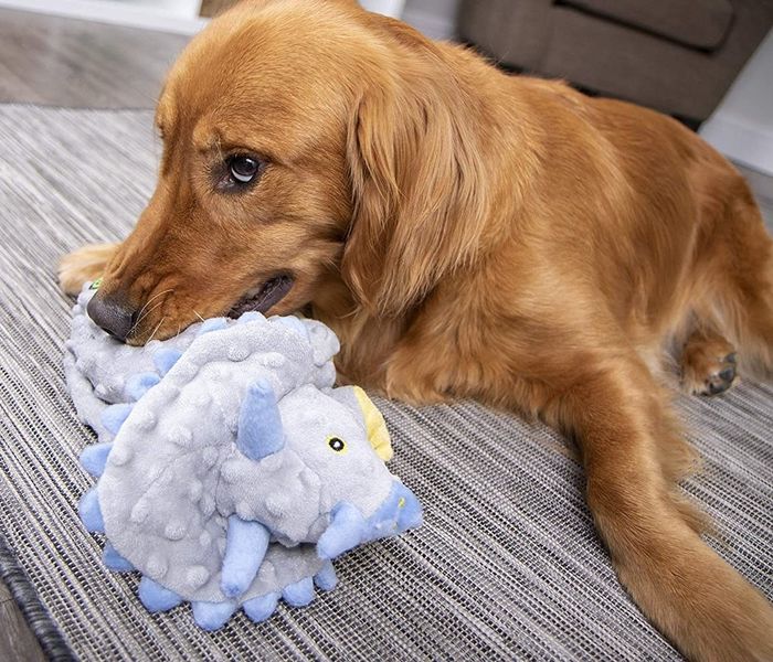 A golden retriever happily chewing on a dinosaur-shaped plush toy.