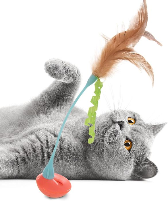 A feather and ribbon teaser toy