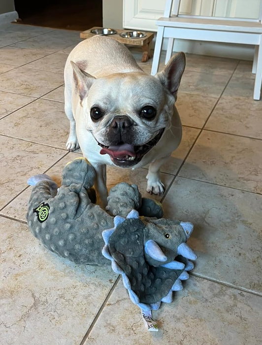 A French Bulldog enjoys its time with a dinosaur plush toy in this reviewer's photo.