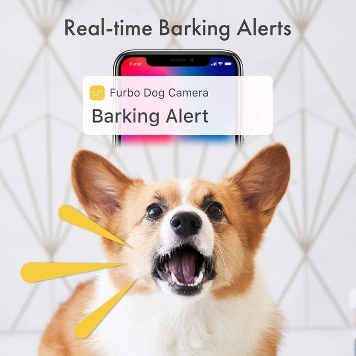 An infographic detailing Furbo's real-time barking alerts.