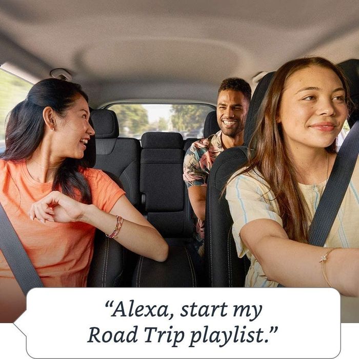 People in a car saying "Alexa, start my Road Trip playlist"