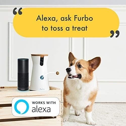 An infographic highlighting how Furbo seamlessly integrates with Alexa, allowing users to control it through voice commands.