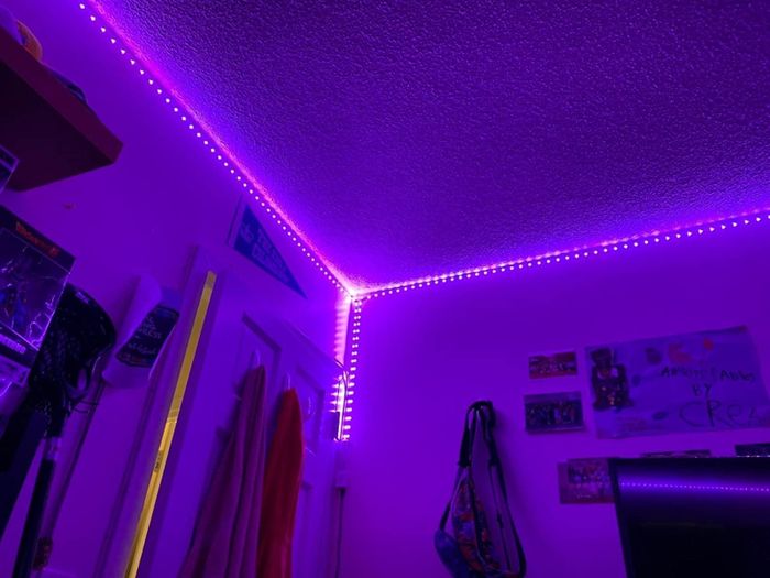 The lights installed along the perimeter of the ceiling, casting a vibrant purple glow.
