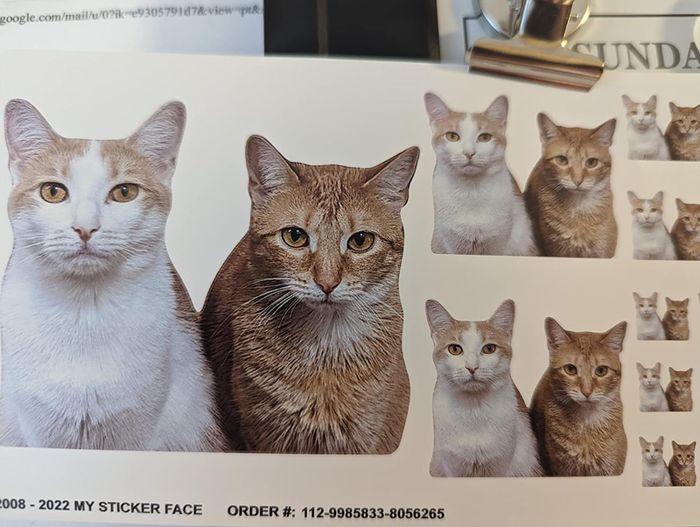 A sticker featuring a reviewer's white and orange cats.