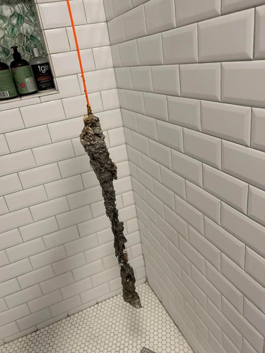 A drain-clearing snake covered in debris.