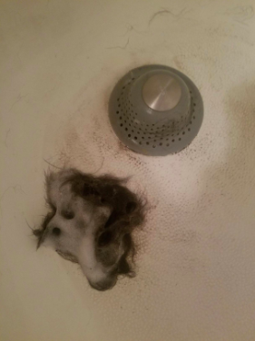 A tangled mess of hair stuck in the drain.