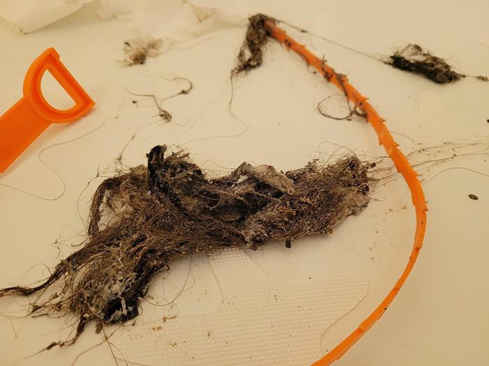 A reviewer’s clump of hair removed with the tool.