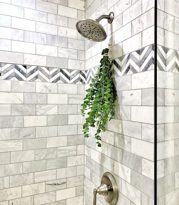 A bundle of fresh eucalyptus hanging in a shower.