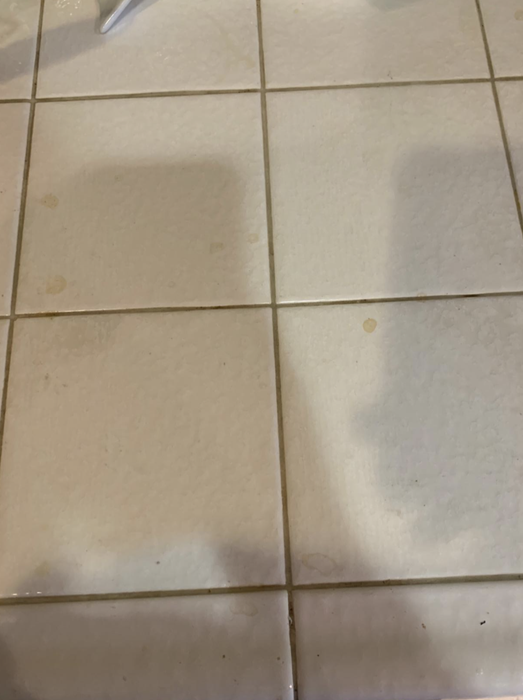 A reviewer's tiles with grout.