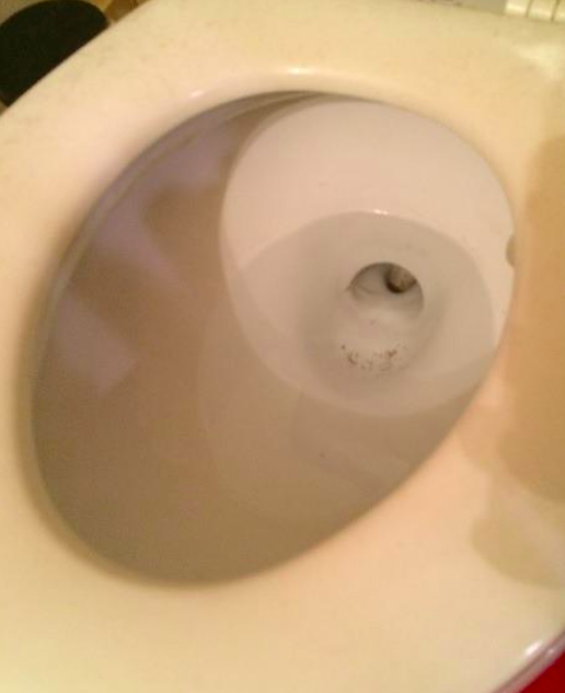 The same toilet bowl, now cleaned and free of the brown grime.