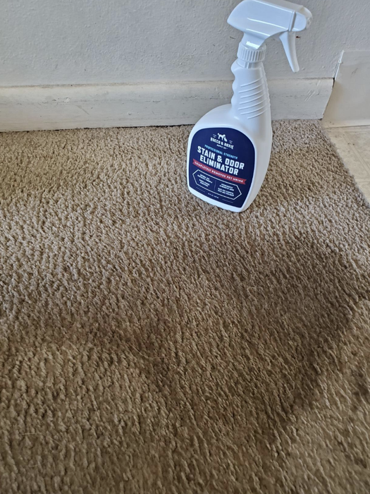 A reviewer’s image showing a stained carpet
