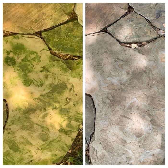 A before-and-after image from the reviewer showing a mold-covered stone patio alongside one that has been sprayed and is now mold-free