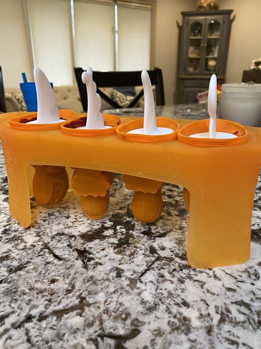Reviewer image showing the molds