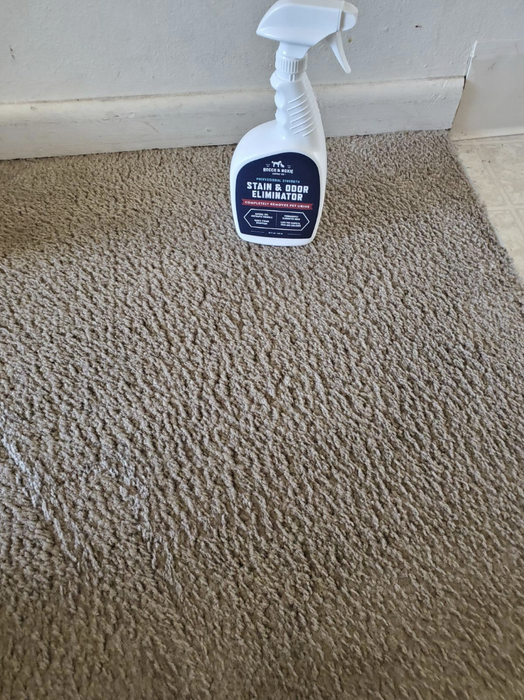 A reviewer’s photo showing the same carpet now spotless and fresh