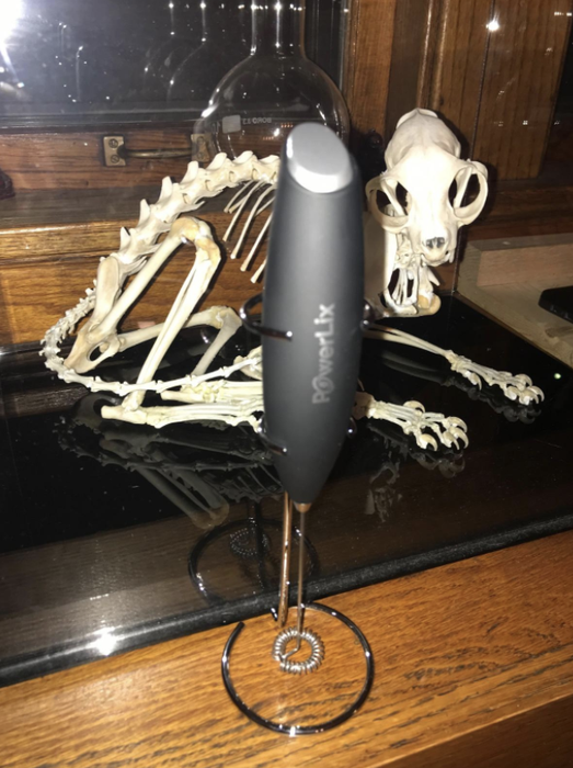 The frother resting on its stand in front of a cat skeleton decoration.
