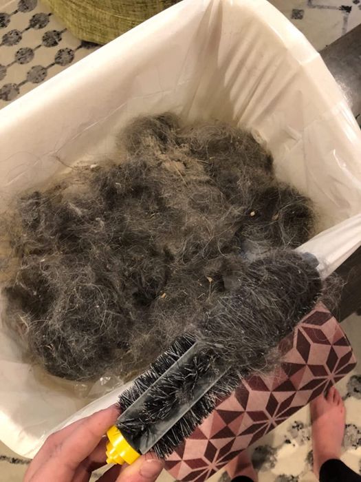 A reviewer’s photo showing a pile of dust and pet hair that the Roomba managed to pick up