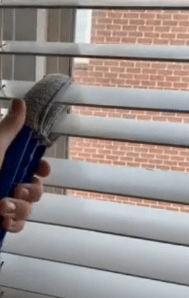 Reviewer GIF showing how to use the window blind duster brush in action