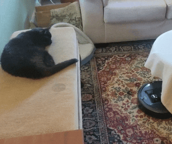 A gif showing the Roomba gliding across a reviewer's carpet, expertly avoiding furniture edges while their cat rests nearby