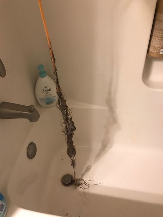 A reviewer holding the snake, which has successfully pulled out a huge clump of hair from the drain