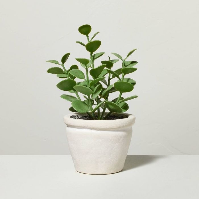 The artificial succulent