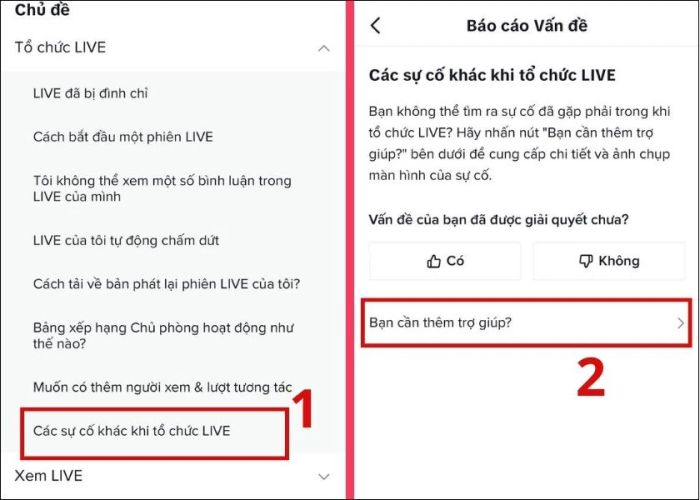 Báo cáo sự cố cho quản lý TikTok.