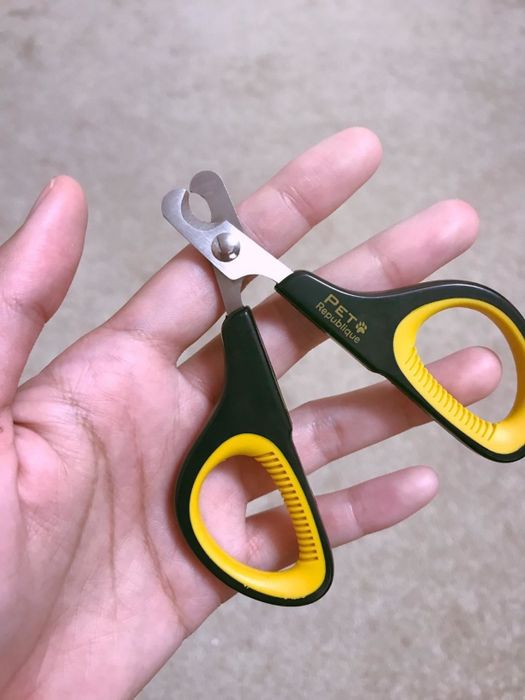 Reviewer’s photo showing the cat nail clippers