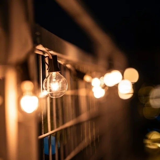 A close-up of twinkling string lights adorning a fence.