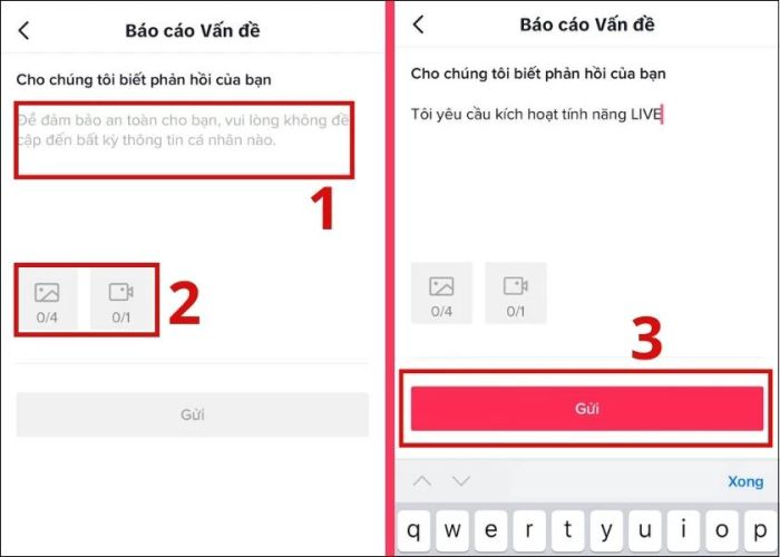 Báo cáo vấn đề cho hệ thống quản lý TikTok.