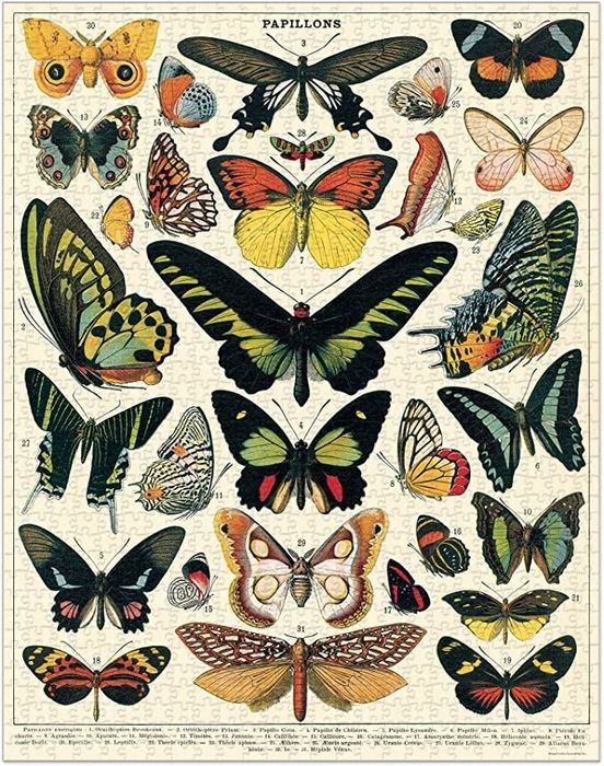 The completed puzzle