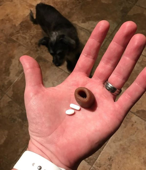 A reviewer displays a hand holding a pill pocket treat with two pills.