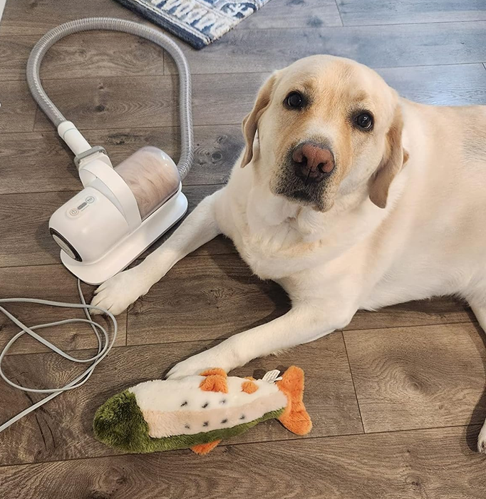 A dog relaxes on the floor beside a grooming vacuum and a soft plush toy.