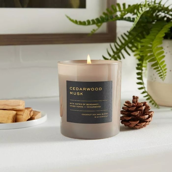 A Cedarwood Musk coconut soy wax candle with notes of bergamot, dried tonka, and cedarwood, placed beside a pinecone and a green fern plant on a white surface.