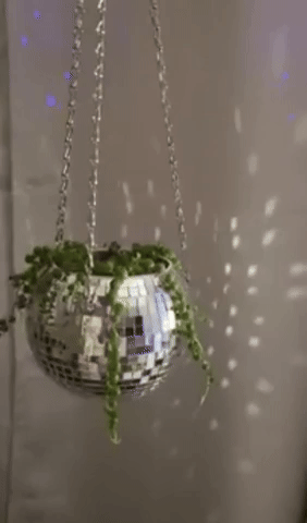 a gif of a reviewer adjusting the planter to display its reflections on the wall