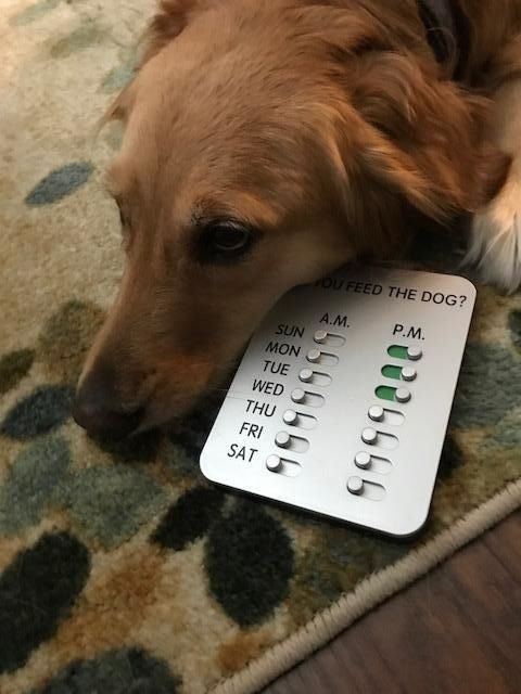 device featuring sliders to mark two meals per day for each day of the week