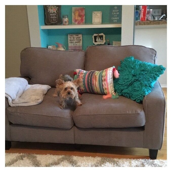 a reviewer photo of the sofa in brown