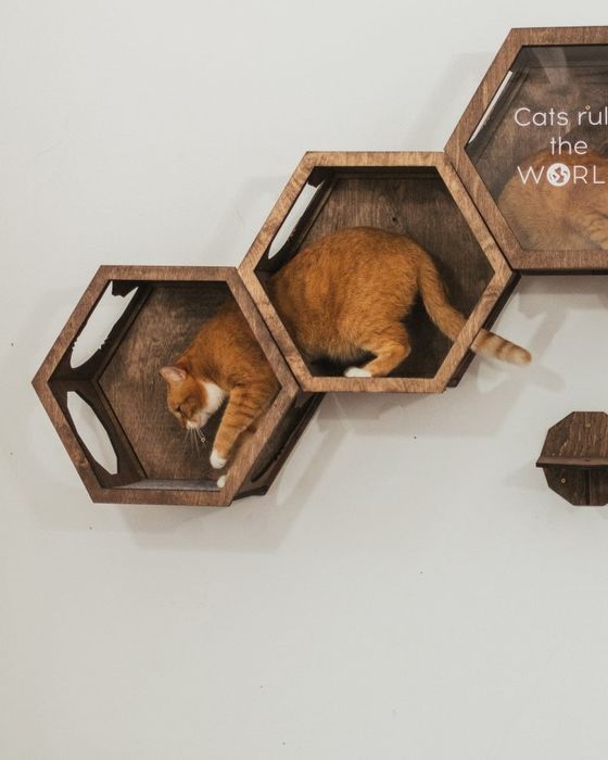 An orange and white cat happily climbing in a hexagon-shaped piece of cat furniture.