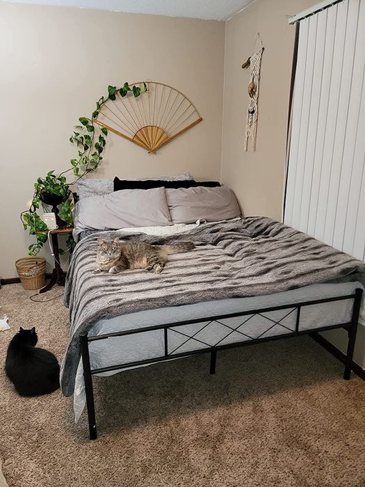 Reviewer's photo of a black metal crisscross bed frame in a stylish bedroom