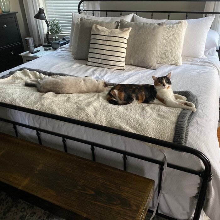 A reviewer’s photo of a metal platform bed featuring a cat lounging on it in a cozy bedroom.