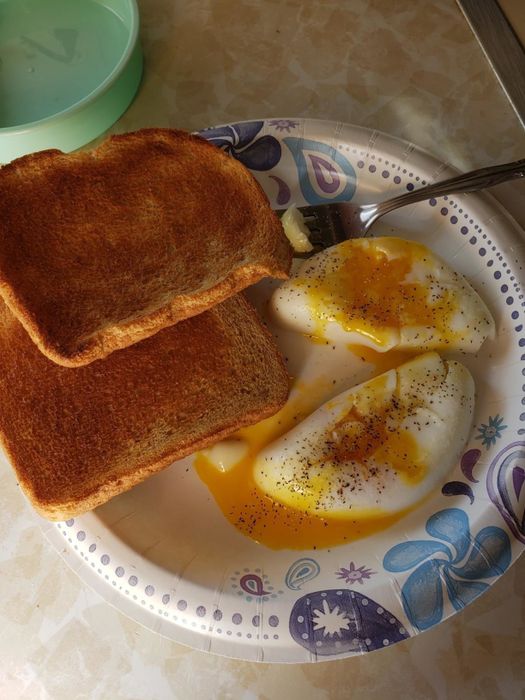 Poached eggs freshly made in the rapid egg cooker