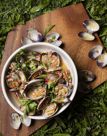 steamed clams with sausage