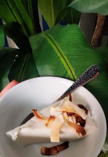 reviewer image of dessert slice with toasted coconut