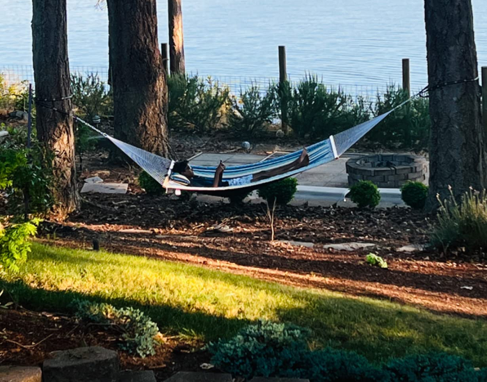 A person lounging in a hammock strung between two trees, gazing out over a tranquil lake surrounded by nature.