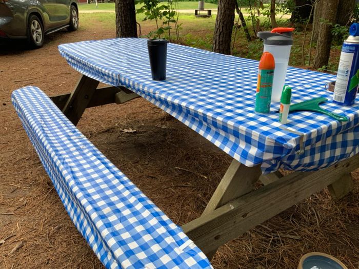 A picnic table adorned with a blue and white checkered tablecloth and various items, likely set up for an outdoor meal.