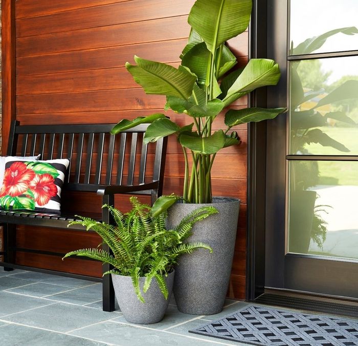 A black bench with a floral cushion sits beside two potted plants of varying sizes, enhancing the outdoor decor.