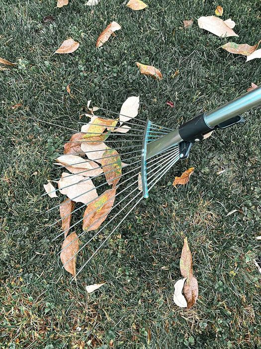 The rake in action, gathering leaves from the ground.